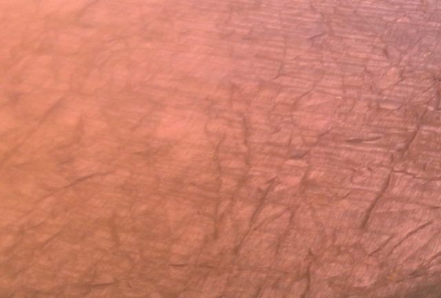 Rental store for TBCL, COPPER IRIDCNT 90X156 in Omaha NE