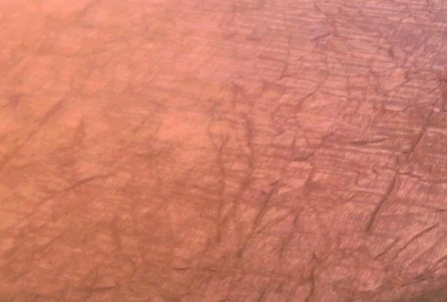 Rental store for TBCL, COPPER IRIDESCENT 60X60 in Omaha NE