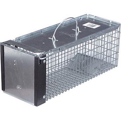 Rental store for ANIMAL TRAP, HAVAHART SM  2 Day Minimum in Omaha NE