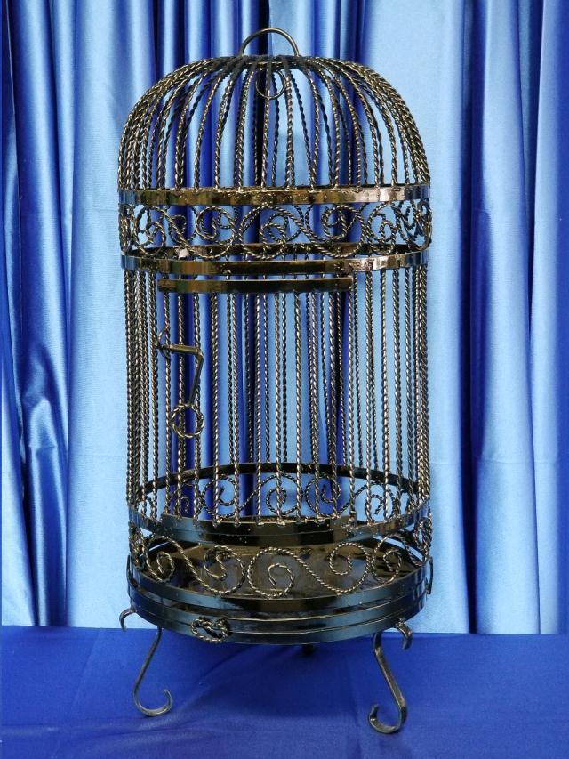 Where to find CARD CAGE Black in Omaha