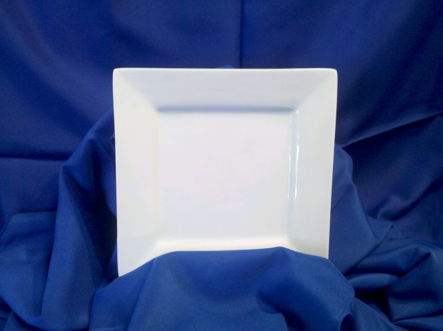 Rental store for PLATE, WHITE 10  SQUARE in Omaha NE