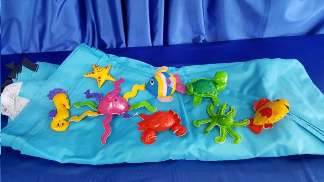 Rental store for PARACHUTE FISH TOSS in Omaha NE
