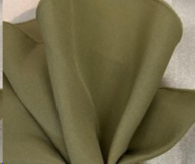 Rental store for LT OLIVE LINEN in Omaha NE