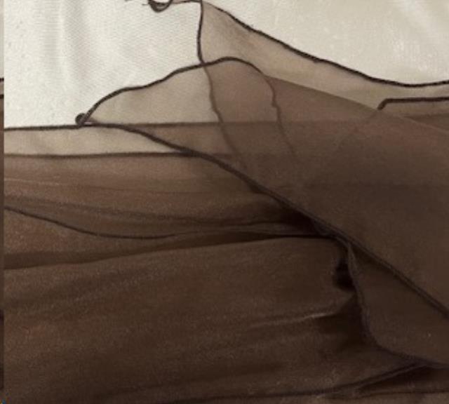 Rental store for TIES, BROWN ORGANZA 8 X110 in Omaha NE