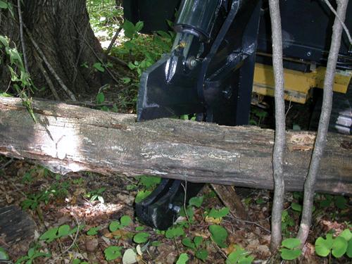 Rental store for TREE SHEARS  POWER in Omaha NE