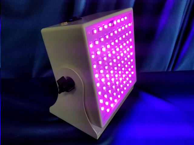Where to find WASH LIGHT, LED VIVID in Omaha