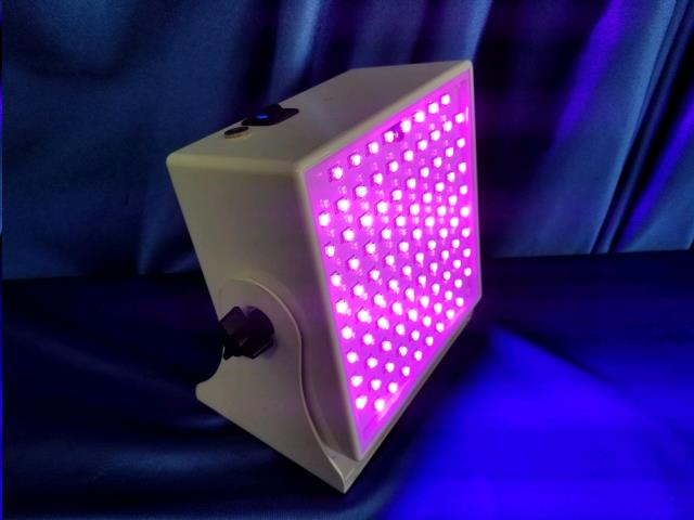 Where to find WASH LIGHT, LED VIVID in Omaha
