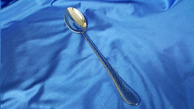 Rental store for SPOON, 13.25 HAMMERED SERVING in Omaha NE