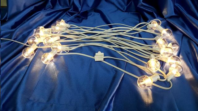 Rental store for STRINGER LIGHTS 40 Ft  27 Bulb in Omaha NE