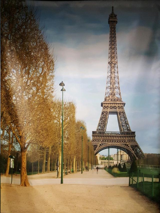 Rental store for SELFIE BACKDROP, EIFEL TOWER in Omaha NE