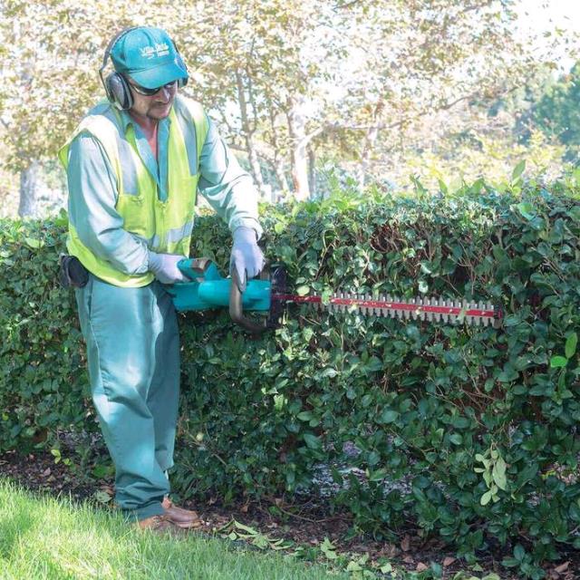 Rental store for HEDGE TRIMMER  2 Battery Powered in Omaha NE