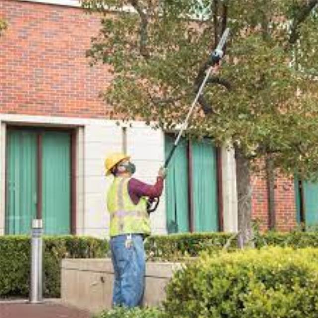 Rental store for POLE SAW  Dual Battery in Omaha NE