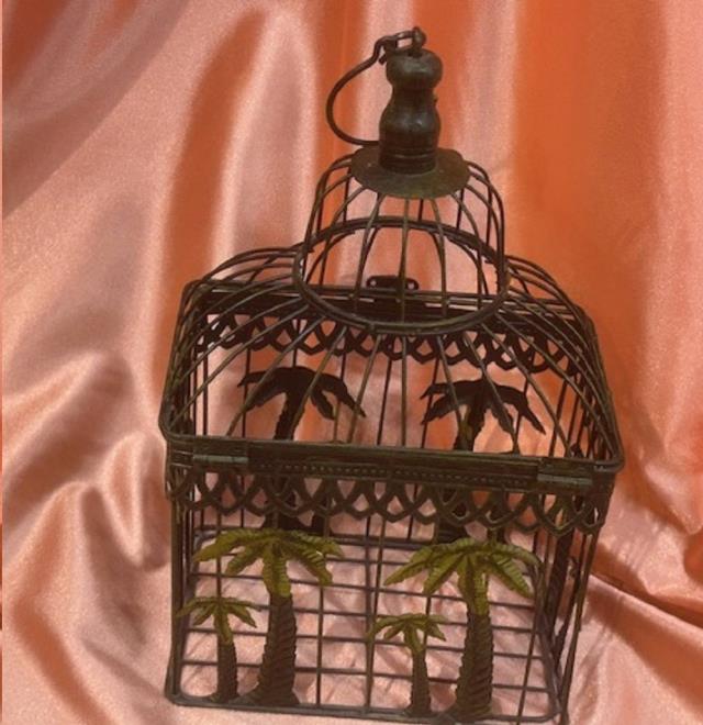 Where to find TROPICAL CARD CAGE in Omaha