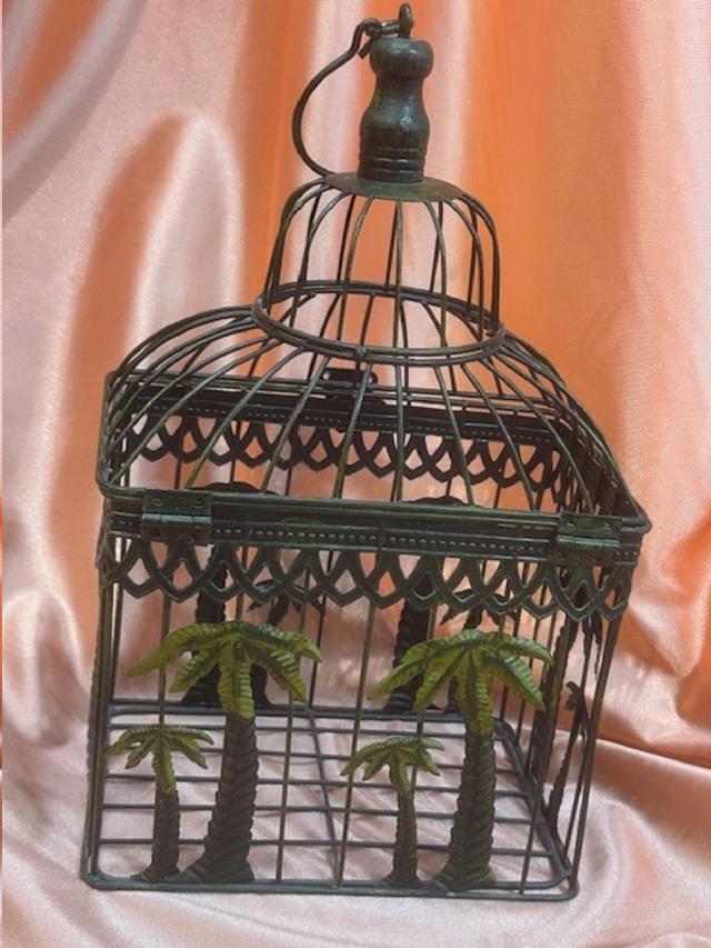 Rental store for TROPICAL CARD CAGE in Omaha NE