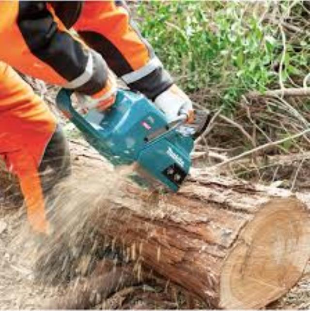 Where to find CHAINSAW, 16 40v Battery Powered in Omaha