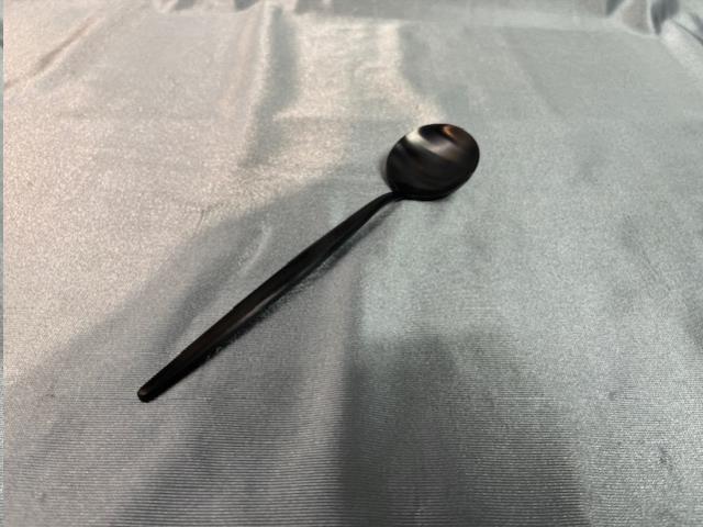 Rental store for SERVER, SPOON BLACK 8.25 in Omaha NE